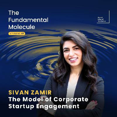 Sivan Zamir - The Model of Corporate Startup Engagement