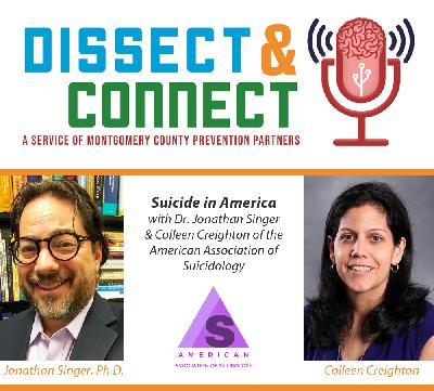 Episode 33 - Suicide in America Episode 33 - Suicide in America