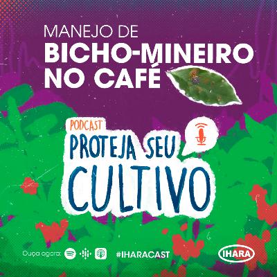 # 12 - Manejo de bicho-mineiro no café