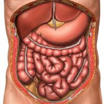 Abdomen agudo