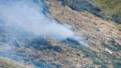 Wildfires and Grazing Permits Wildfires and Grazing Permits