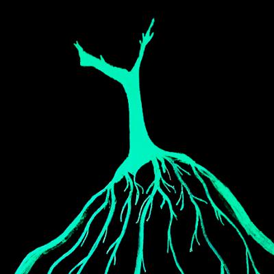 Episodi 15 - Felicitat