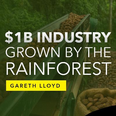 Gareth Lloyd: How the Jungle Became the Most Productive Factory on Earth