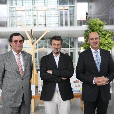 Porque falha o Estado? O “medo de decidir” instalou-se no Estado: “Tem de haver escrutínio que não paralise a Administração”