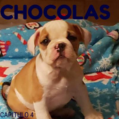 TE HABIAS PUESTO A PENSAR ASI DE LA MUERTE?