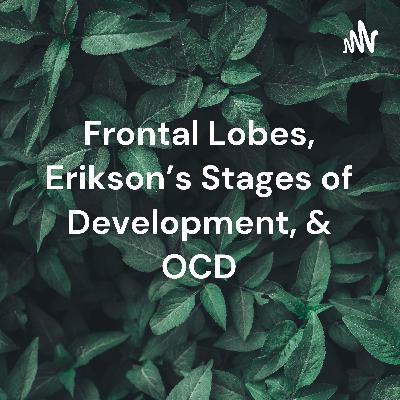 Frontal Lobes, Erikson's Stages of Development, & OCD
