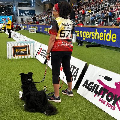 Episode 9 - Part 2 The Agility World Championships with Linda Saab