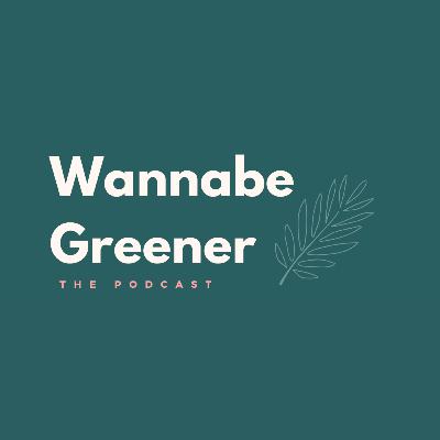 Reducing Business Waste with Sofi Cinque