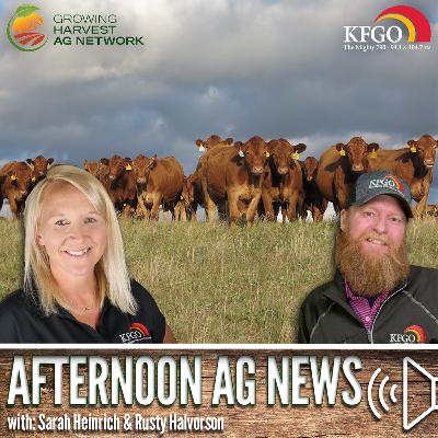 Afternoon Ag News, October 10, 2025: Cattle market continues to remain strong