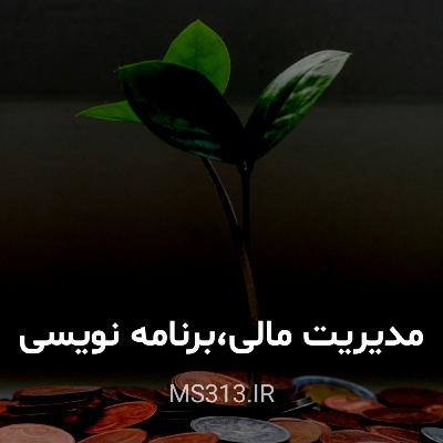 مدیریت مالی ویژه‌ی برنامه نویس ها