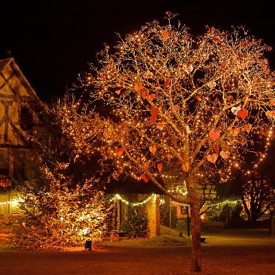 Ecomusée d'Alsace, à la découverte des traditions de Noël