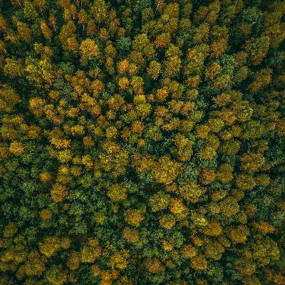 Episood 18. Sügisfotograafia.
