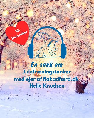 10. Decembers Juletræningstanker med ejer af flokadfærd.dk Helle Knudsen