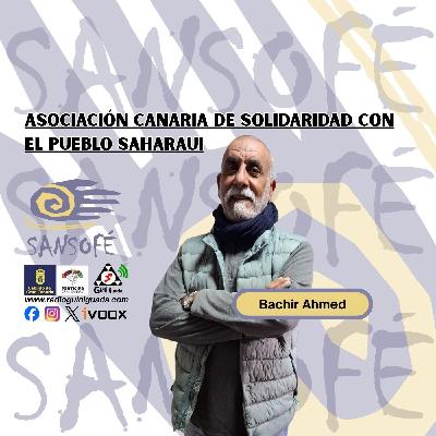 Sansofé, 2026-01-22