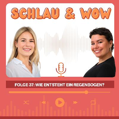 Wie entsteht ein Regenbogen?