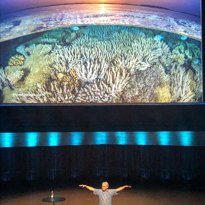 13: Coral bleaching. -The Dark Future of the Coral Reefs with Callum Roberts, the great protector of coral reefs 13: Coral bleaching. -The Dark Future of the Coral Reefs with Callum Roberts, the great protector of coral reefs