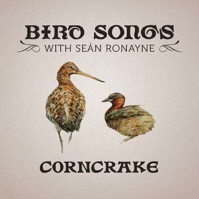 Corncrake | Bird Songs with Seán Ronayne Corncrake | Bird Songs with Seán Ronayne