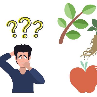 Why are people so afraid of herbal medicines Why are people so afraid of herbal medicines