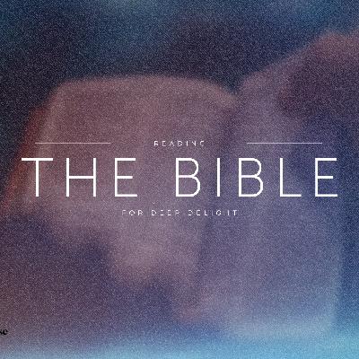 Week 11 | Reading the Bible