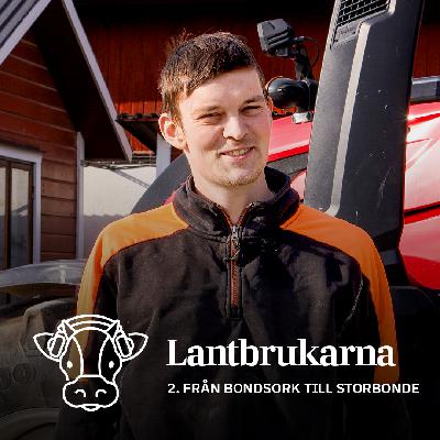 2. Från bondsork till storbonde