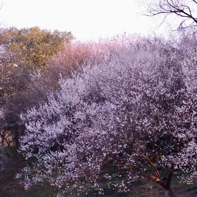 026 读书分享：残酷是人类，希望也是