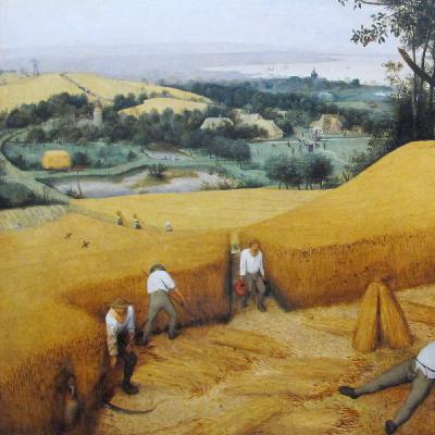 Eikev: Rope to Grow (Rebroadcast)