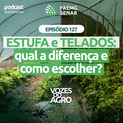 EP 127 | Estufa e Telados: qual a diferença e como escolher?