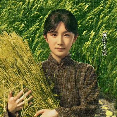 179.从杨幂的《生万物》谈谈85花的转型之路