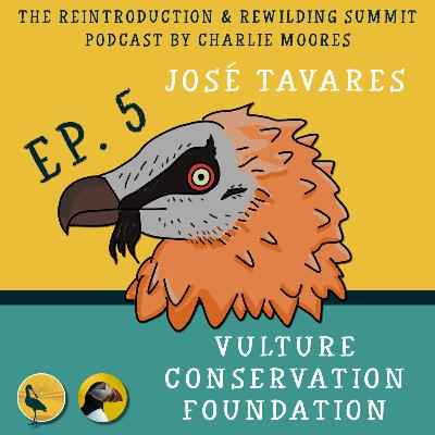 Episode 5: Vulture Conservation Foundation Episode 5: Vulture Conservation Foundation