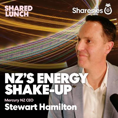 What’s going on with NZ's power grid?