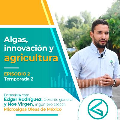 Algas, innovación y agrícultura