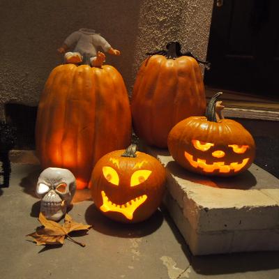 #17 カリフォルニアホームステイ記【前編】 #17 カリフォルニアホームステイ記【前編】