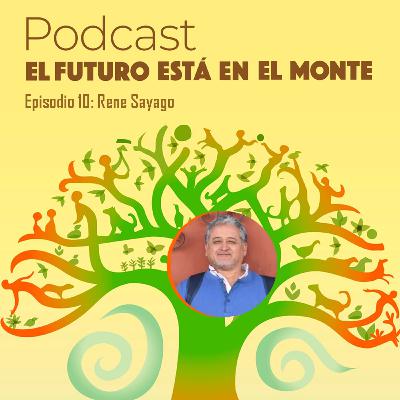 Episodio 10 - Apicultura de alto valor, trayectoria e innovación local