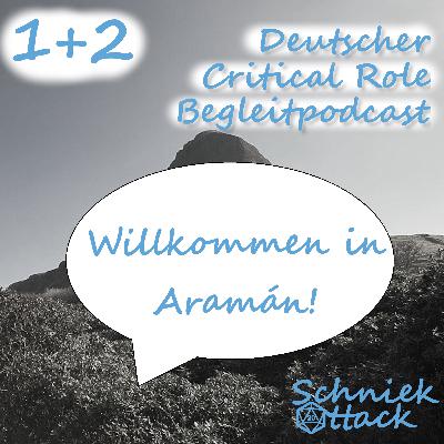 Schniekattack auf den Kampagnenstart in Aramán (#1 The Fall of Thjazi Fang, #2 Broken Wing) Schniekattack auf den Kampagnenstart in Aramán (#1 The Fall of Thjazi Fang, #2 Broken Wing)