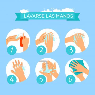 FORMA ADECUADA DE LAVARSE LAS MANOS 😽