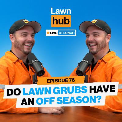 Do lawn grubs have an off season? | Lawnhub Live EP 76