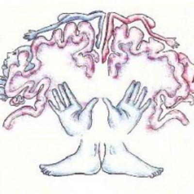NEUROFISIOLOGIA DE LOS REFLEJOS