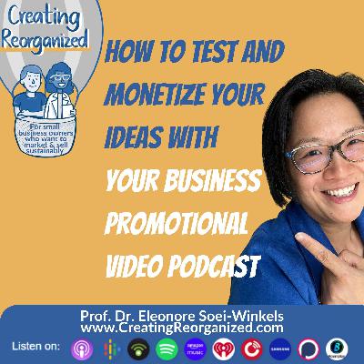 Want to grow your business without the guesswork? Do your market research with your business promotional video podcast, CreatingReorganized, Clip, Prof. Dr. Eleonore Soei-Winkels