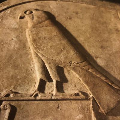 Falcon Falcon
