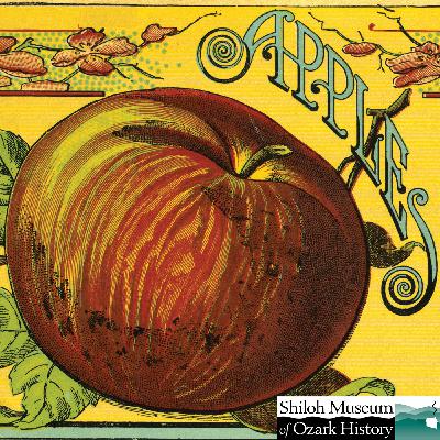 Arkansas Apple Roots