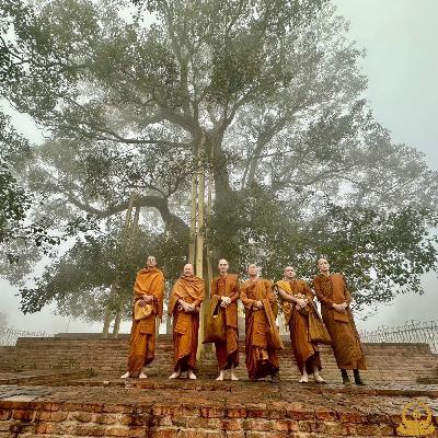 13. ปฏิบัติธรรมที่อินเดีย - วัดเชตวันมหาวิหาร นครสาวัตถี ต้นอานันทโพธิ์