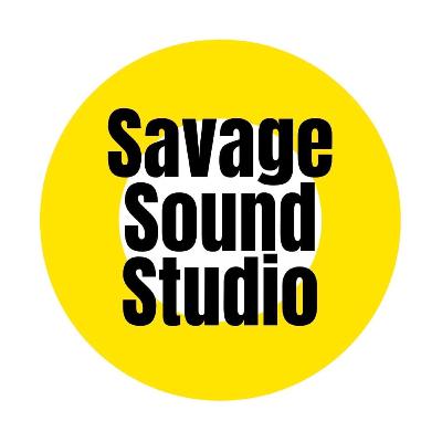 Гик Подкаст от Savage Sound Studio #008-- Cнова Один, Соник
