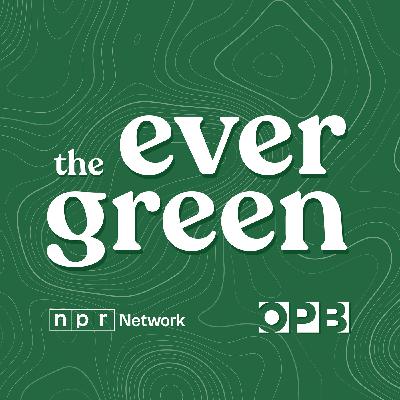 ‘The Evergreen’ bonus episode: Jesse Johnson was wrongfully convicted. Now, he’s suing