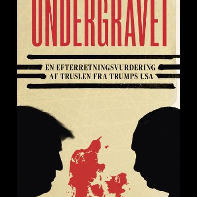 UNDERGRAVET: USA som partner eller fjende?