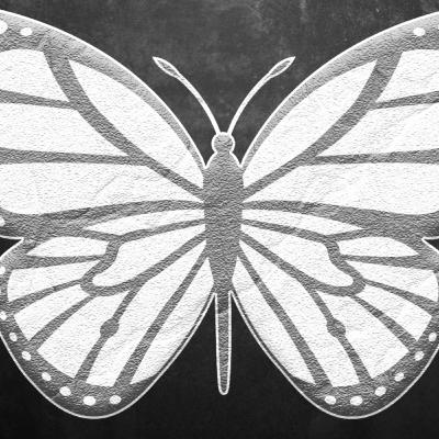 🎧 AUDIOBOOK : A BORBOLETA PRETA - MACHADO DE ASSIS