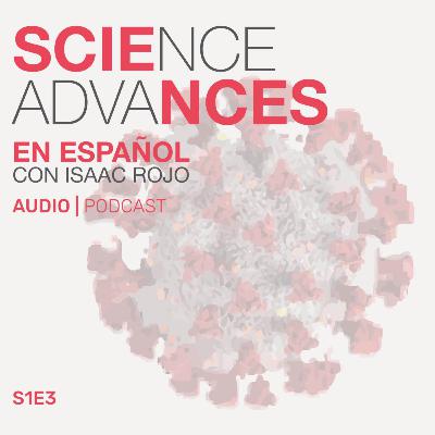 📚 Audio Long Read: ¿Las re-infecciones por COVID son peligrosas?. Esto es lo que dice la ciencia