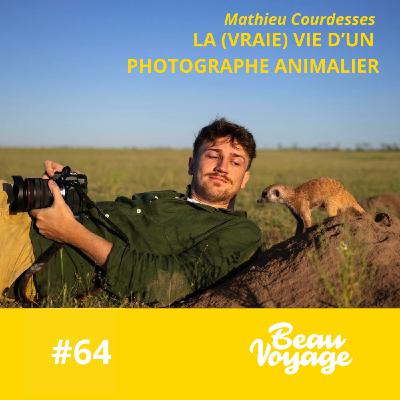 #64 - Mathieu Courdesses, photographe animalier : l'amour des gorilles, ses plus grandes frayeurs et son rôle d'ambassadeur du monde sauvage
