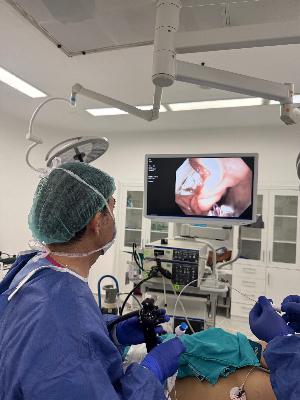 Breaking New Ground: Understanding Gastric Fundus Mucosal Ablation (GFMA)