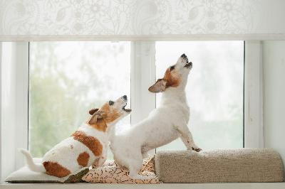 Helping Your Dog Feel Safe When You’re Gone: Listener Questions + Roger’s Story Helping Your Dog Feel Safe When You’re Gone: Listener Questions + Roger’s Story