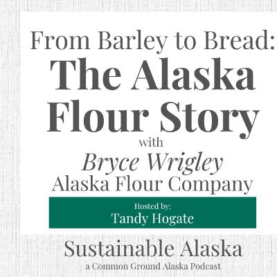 From Barley to Bread: The Alaska Flour Story with Bryce Wrigley Alaska Flour Company Sustainable Alaska Podcast From Barley to Bread: The Alaska Flour Story with Bryce Wrigley Alaska Flour Company Sustainable Alaska Podcast